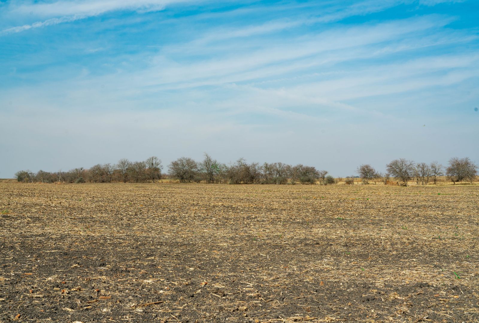 18402 Manda Carlson Road Coupland, TX 78615 - Photo 9 of 29