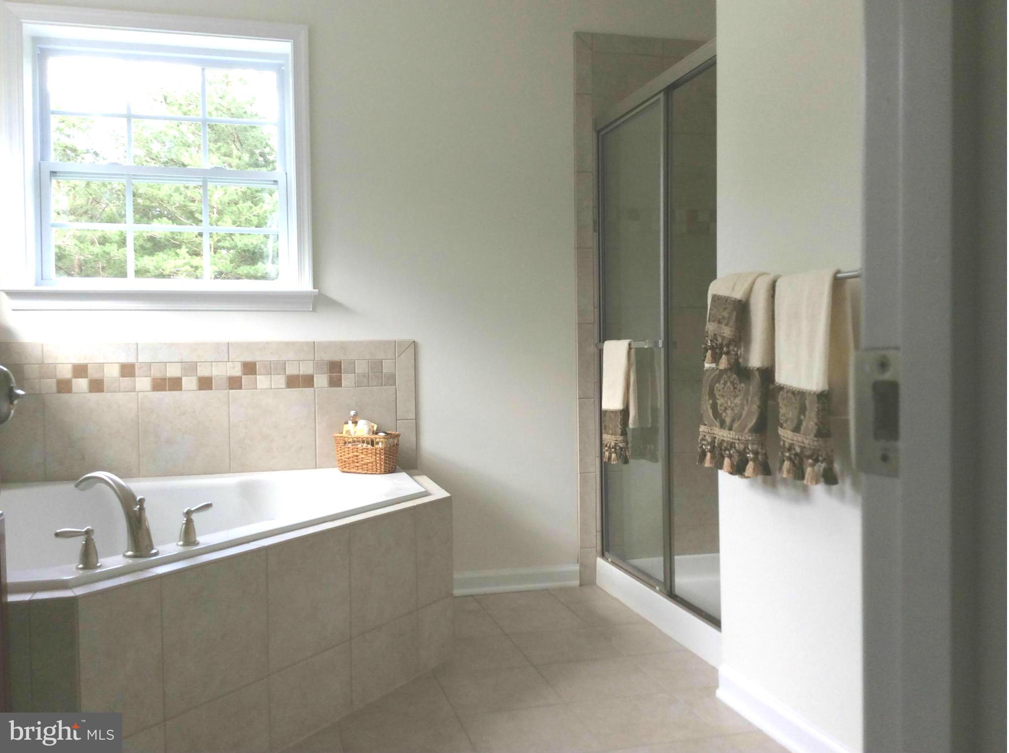 8365 WB&A Road Severn, MD 21144 - Photo 11 of 30 Enough Room for 2 !