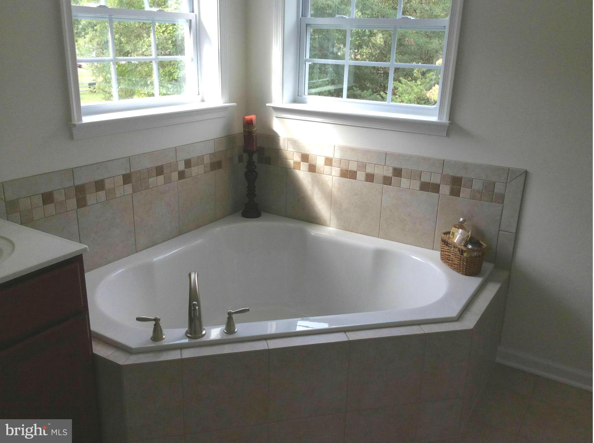 8365 WB&A Road Severn, MD 21144 - Photo 9 of 30 Retreat to your Soaking Tub