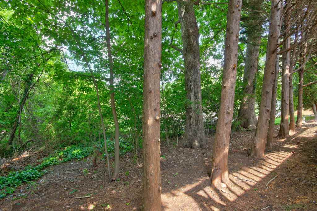 3017 Rue Sans Famille Raleigh, NC 27607 - Photo 14 of 18 Photo 14