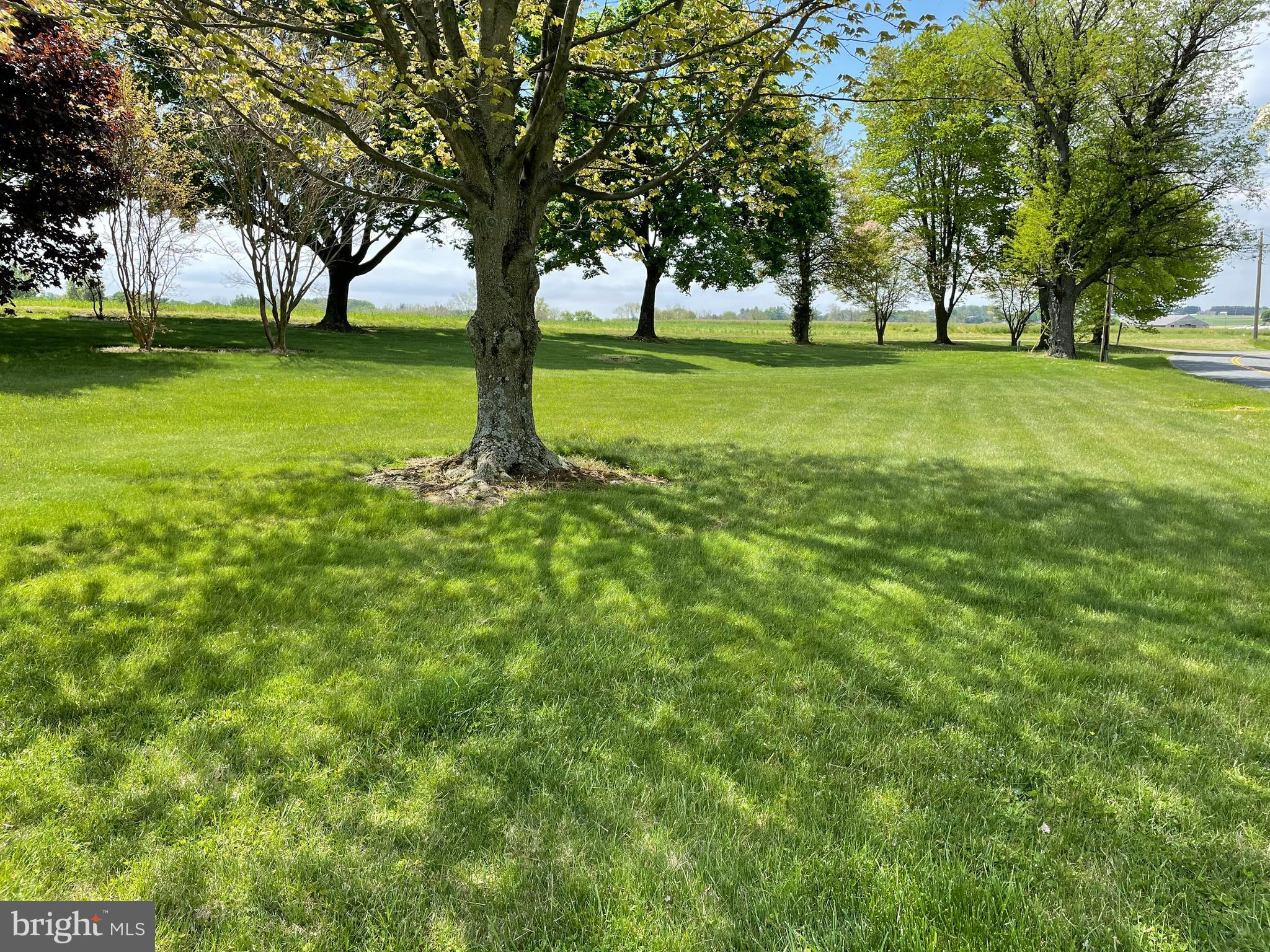 324 Harrington Road Rising Sun, MD 21911 - Photo 4 of 25 ACREAGE TO THE RIGHT OF THE HOME