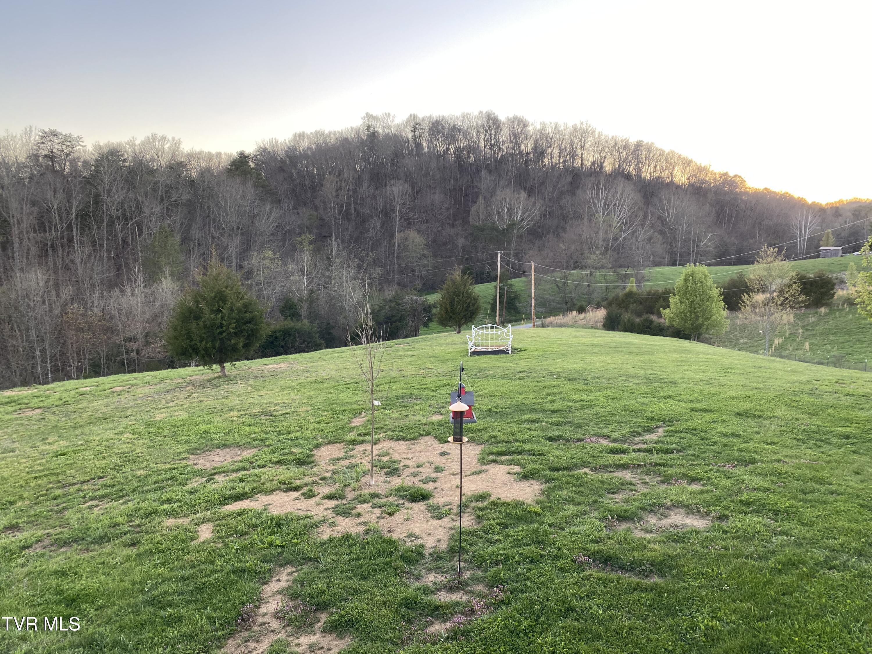 1885 Snake Hollow Road Greeneville, TN 37743 - Photo 28 of 29 IMG_1231