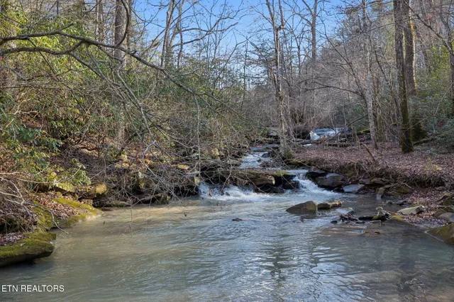 $624,900 | 590 Hamby Lane, Robbins, TN 37852