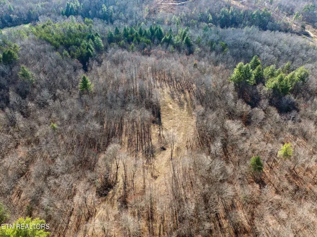 $624,900 | 590 Hamby Lane, Robbins, TN 37852