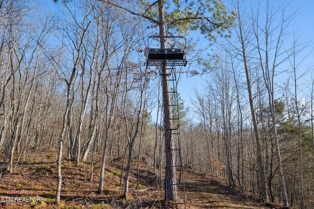 $624,900 | 590 Hamby Lane, Robbins, TN 37852