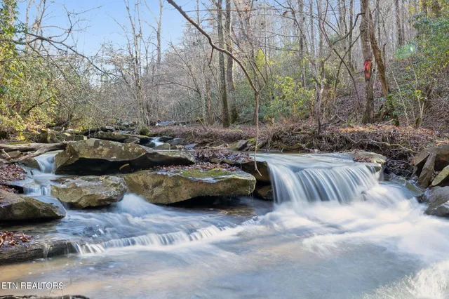 $624,900 | 590 Hamby Lane, Robbins, TN 37852