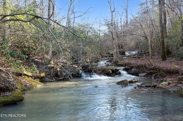 $624,900 | 590 Hamby Lane, Robbins, TN 37852