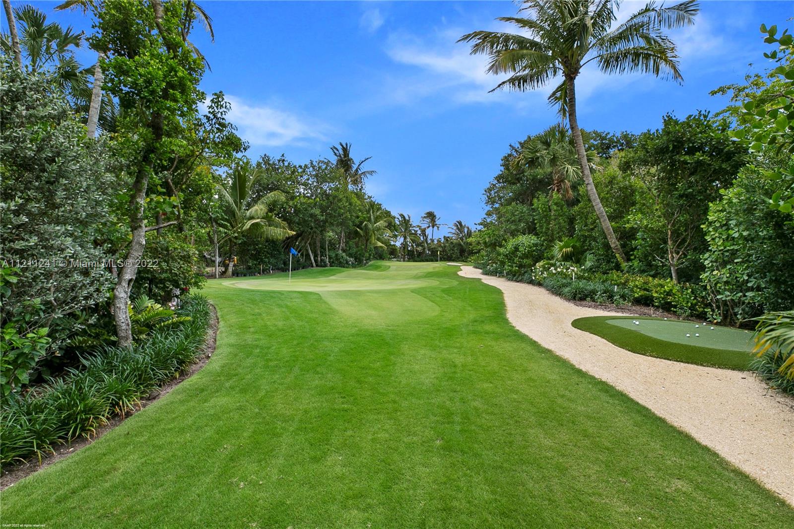 318 South Beach Road Hobe Sound, FL 33455 - Photo 17 of 69 a view of a yard with a palm tree