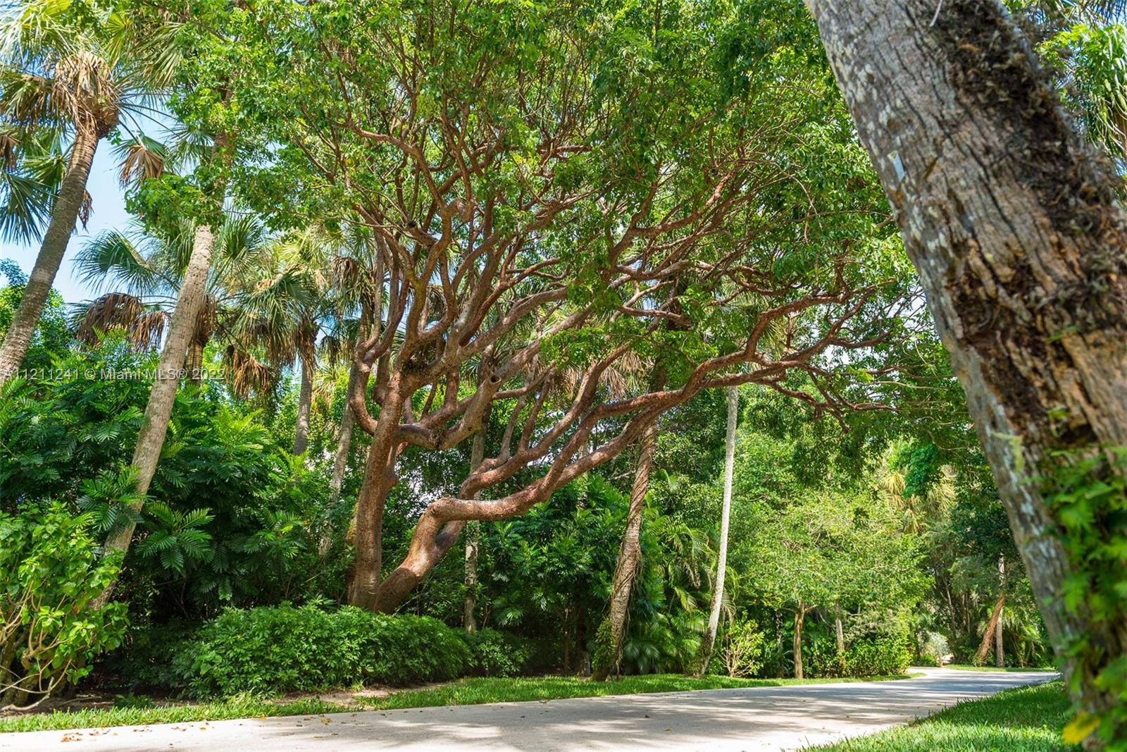 318 South Beach Road Hobe Sound, FL 33455 - Photo 20 of 69 a view of a yard