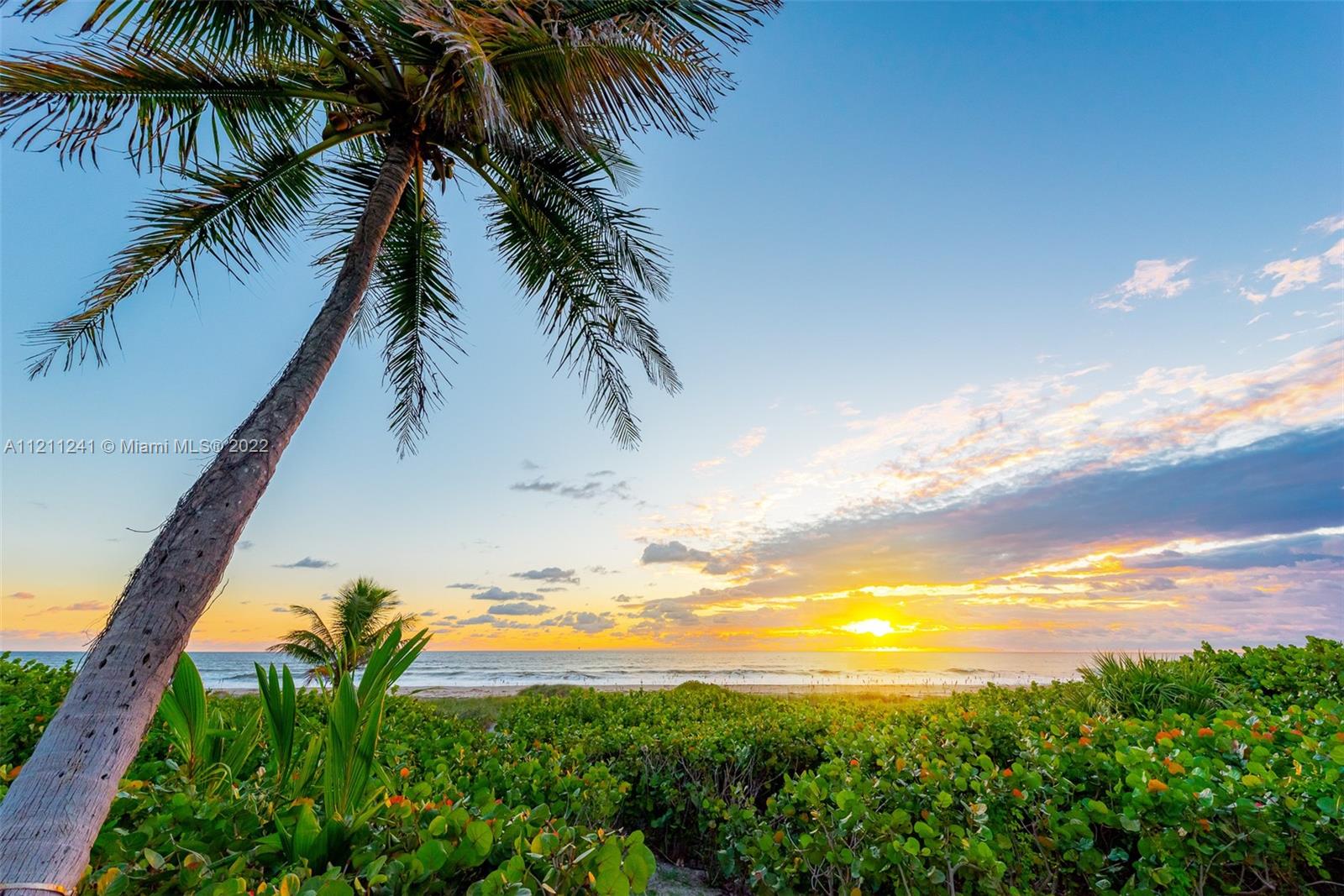 318 South Beach Road Hobe Sound, FL 33455 - Photo 69 of 69 a view of a yard with palm trees