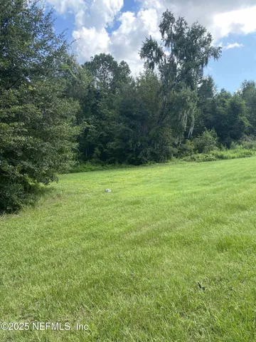 a view of a yard with plants