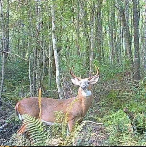 $299,900 | 11232 D A Beasley Drive, Sanderson, FL 32087