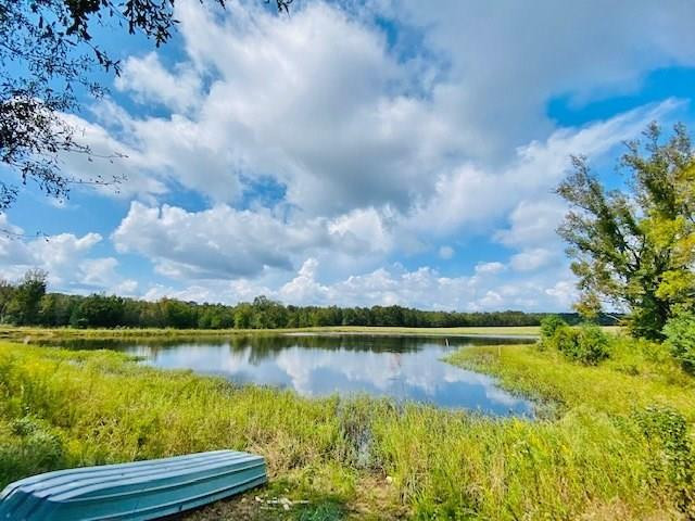 0 Jack Simmons Road Tylertown, MS 39667 - Photo 1 of 32 Main View