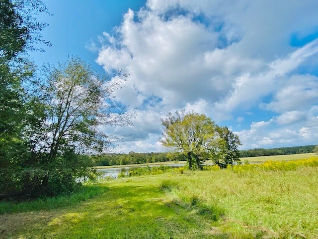 0 Jack Simmons Road Tylertown, MS 39667 - Photo 11 of 32 Photo 11