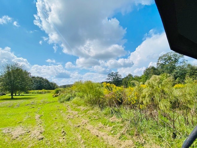 0 Jack Simmons Road Tylertown, MS 39667 - Photo 13 of 32 Photo 13