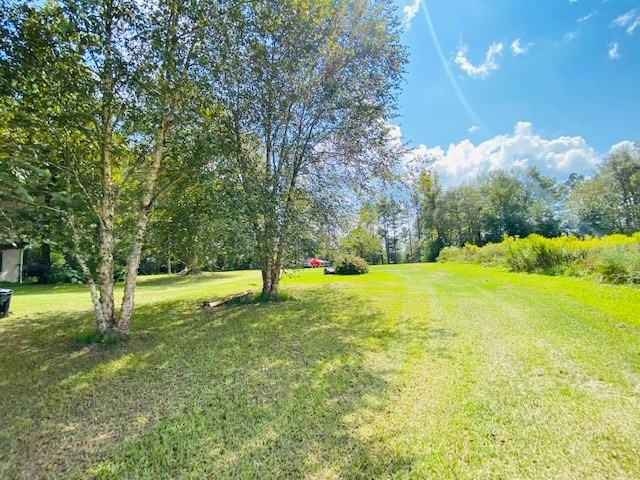 0 Jack Simmons Road Tylertown, MS 39667 - Photo 16 of 32 Photo 16
