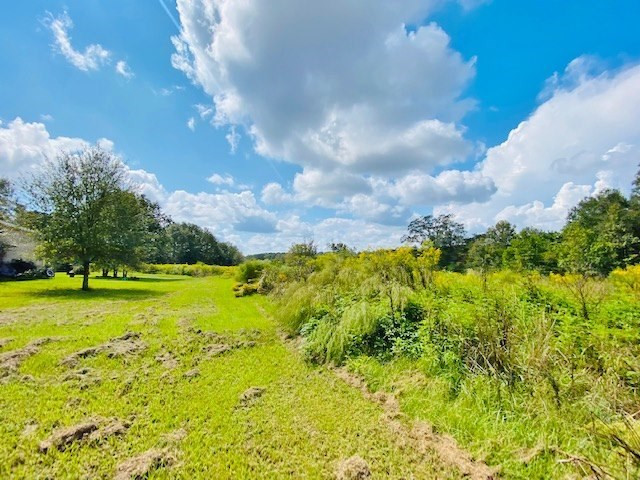 0 Jack Simmons Road Tylertown, MS 39667 - Photo 17 of 32 Photo 17