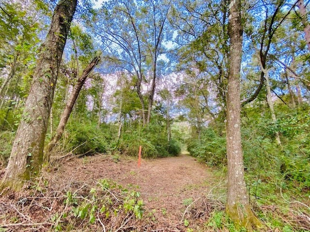 0 Jack Simmons Road Tylertown, MS 39667 - Photo 18 of 32 Photo 18