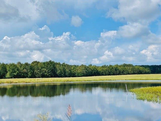 0 Jack Simmons Road Tylertown, MS 39667 - Photo 2 of 32 Photo 2
