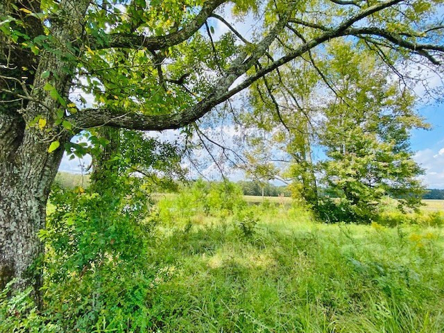 0 Jack Simmons Road Tylertown, MS 39667 - Photo 21 of 32 Photo 21