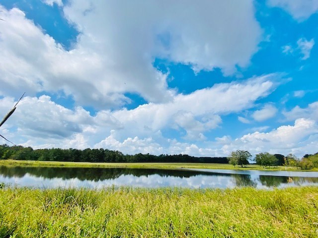 0 Jack Simmons Road Tylertown, MS 39667 - Photo 22 of 32 Photo 22