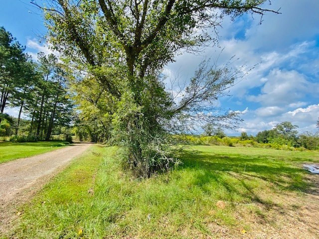 0 Jack Simmons Road Tylertown, MS 39667 - Photo 24 of 32 Photo 24