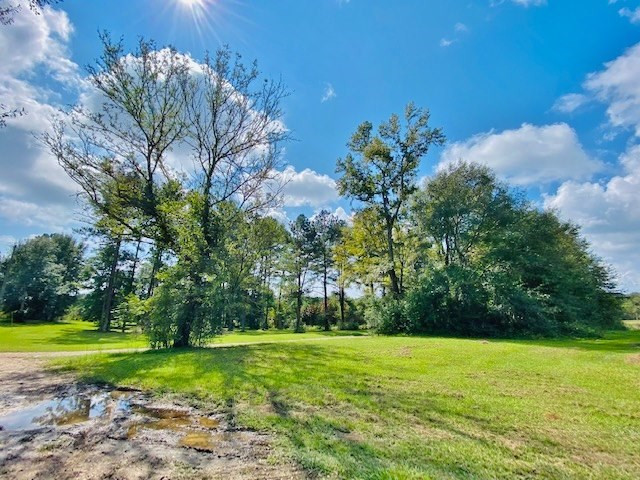 0 Jack Simmons Road Tylertown, MS 39667 - Photo 25 of 32 Photo 25
