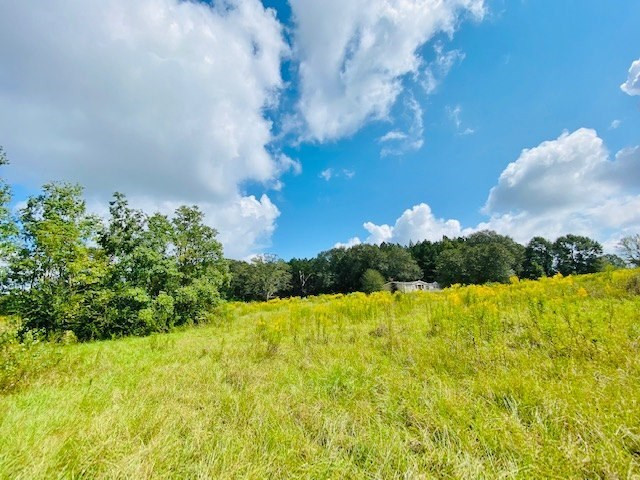 0 Jack Simmons Road Tylertown, MS 39667 - Photo 26 of 32 Photo 26