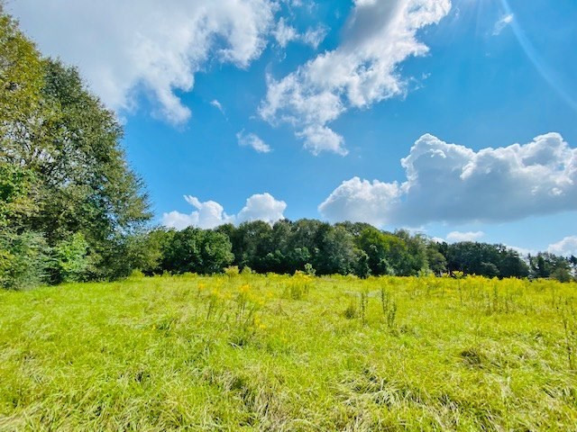 0 Jack Simmons Road Tylertown, MS 39667 - Photo 27 of 32 Photo 27