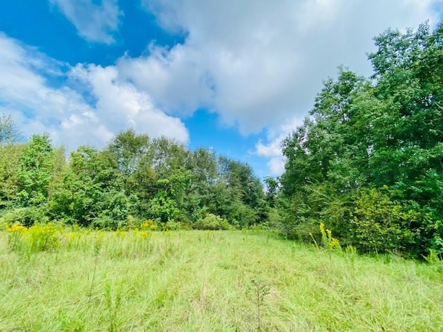 0 Jack Simmons Road Tylertown, MS 39667 - Photo 28 of 32 Photo 28