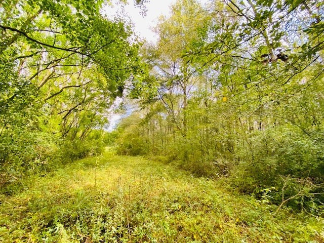 0 Jack Simmons Road Tylertown, MS 39667 - Photo 29 of 32 Photo 29