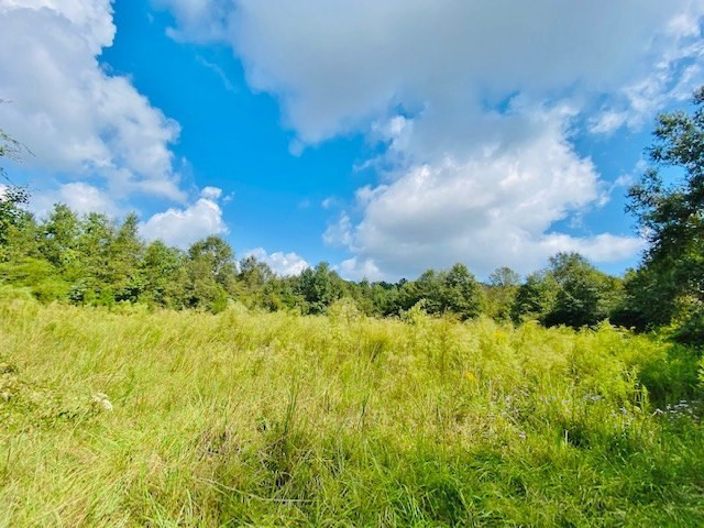 0 Jack Simmons Road Tylertown, MS 39667 - Photo 30 of 32 Photo 30