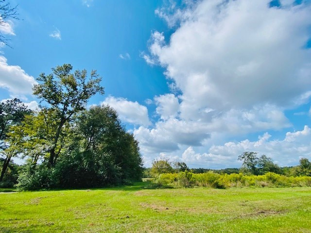 0 Jack Simmons Road Tylertown, MS 39667 - Photo 3 of 32 Photo 3