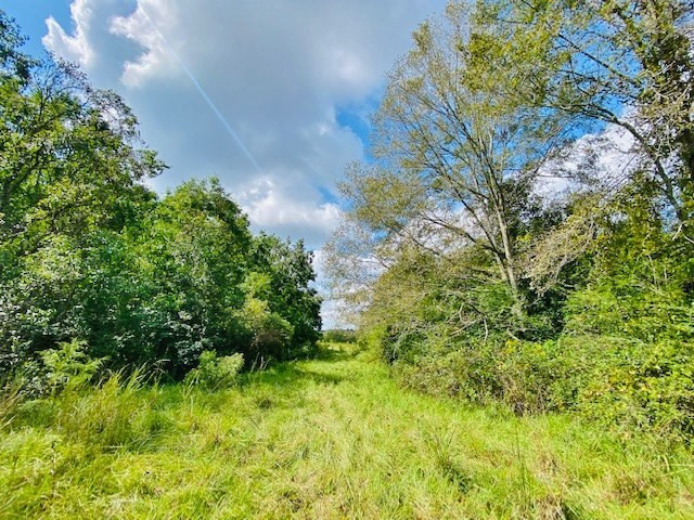0 Jack Simmons Road Tylertown, MS 39667 - Photo 31 of 32 Photo 31