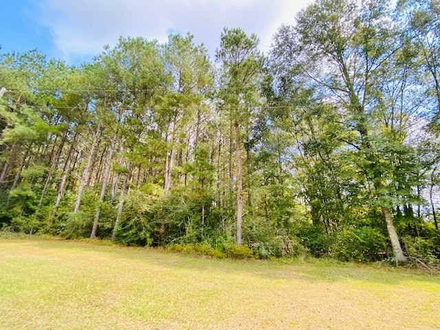 0 Jack Simmons Road Tylertown, MS 39667 - Photo 5 of 32 Photo 5