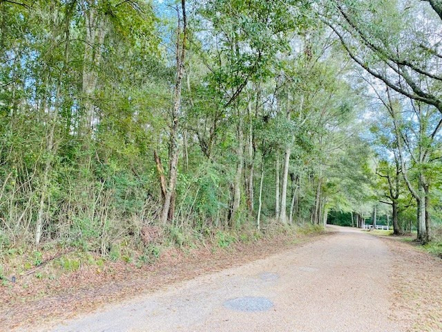 0 Jack Simmons Road Tylertown, MS 39667 - Photo 7 of 32 Photo 7