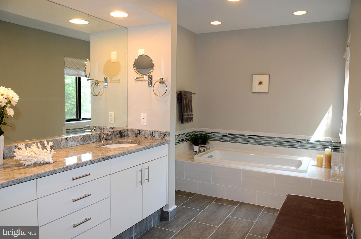 11030 Solaridge Drive Reston, VA 20191 - Photo 20 of 30 a bathroom with a granite countertop sink a mirror and a bathtub