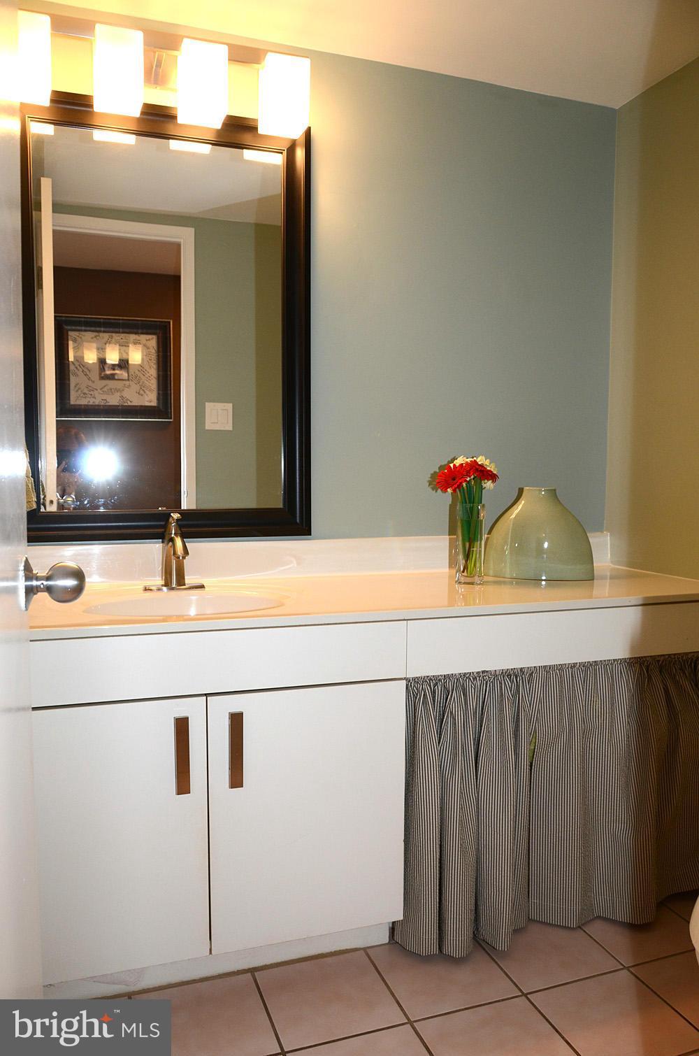 11030 Solaridge Drive Reston, VA 20191 - Photo 10 of 30 a bathroom with a sink and a mirror