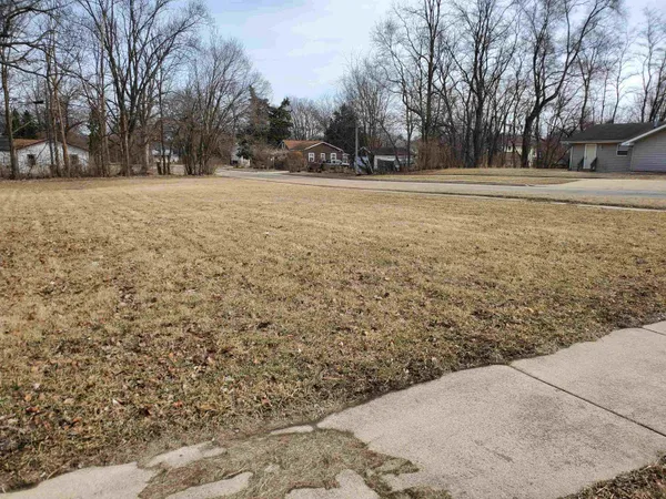 a view of yard with trees