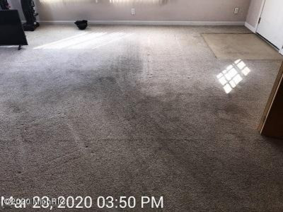 8235 Jericho Road Bridgman, MI 49106 - Photo 17 of 20 2carpet2