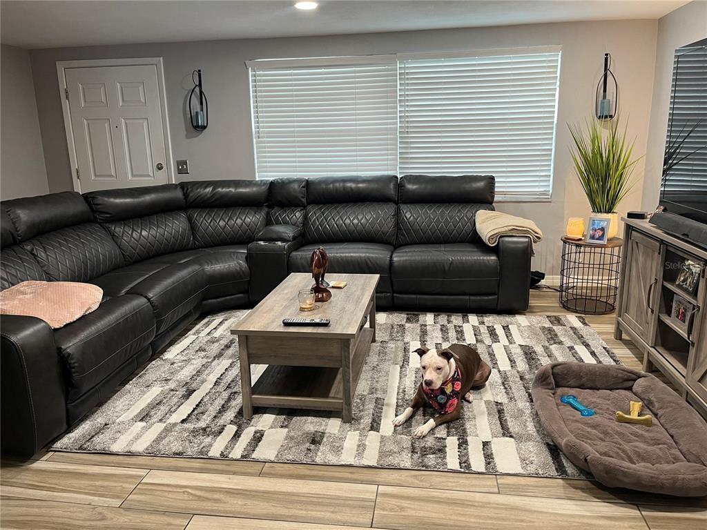 3711 Blackhawk Drive New Port Richey, FL 34652 - Photo 4 of 20