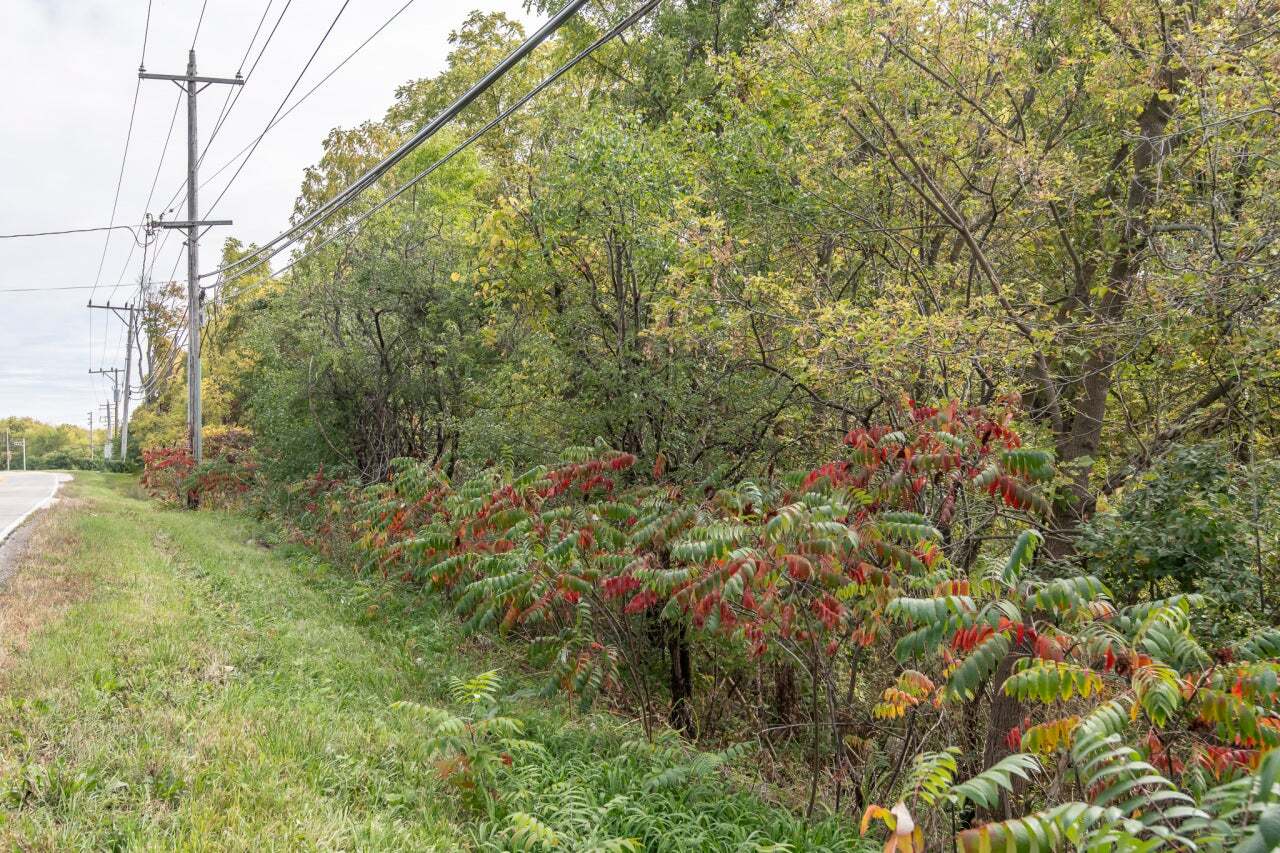 Lt1 Saylesville Road Waukesha, WI 53189 - Photo 2 of 7 Photo 6