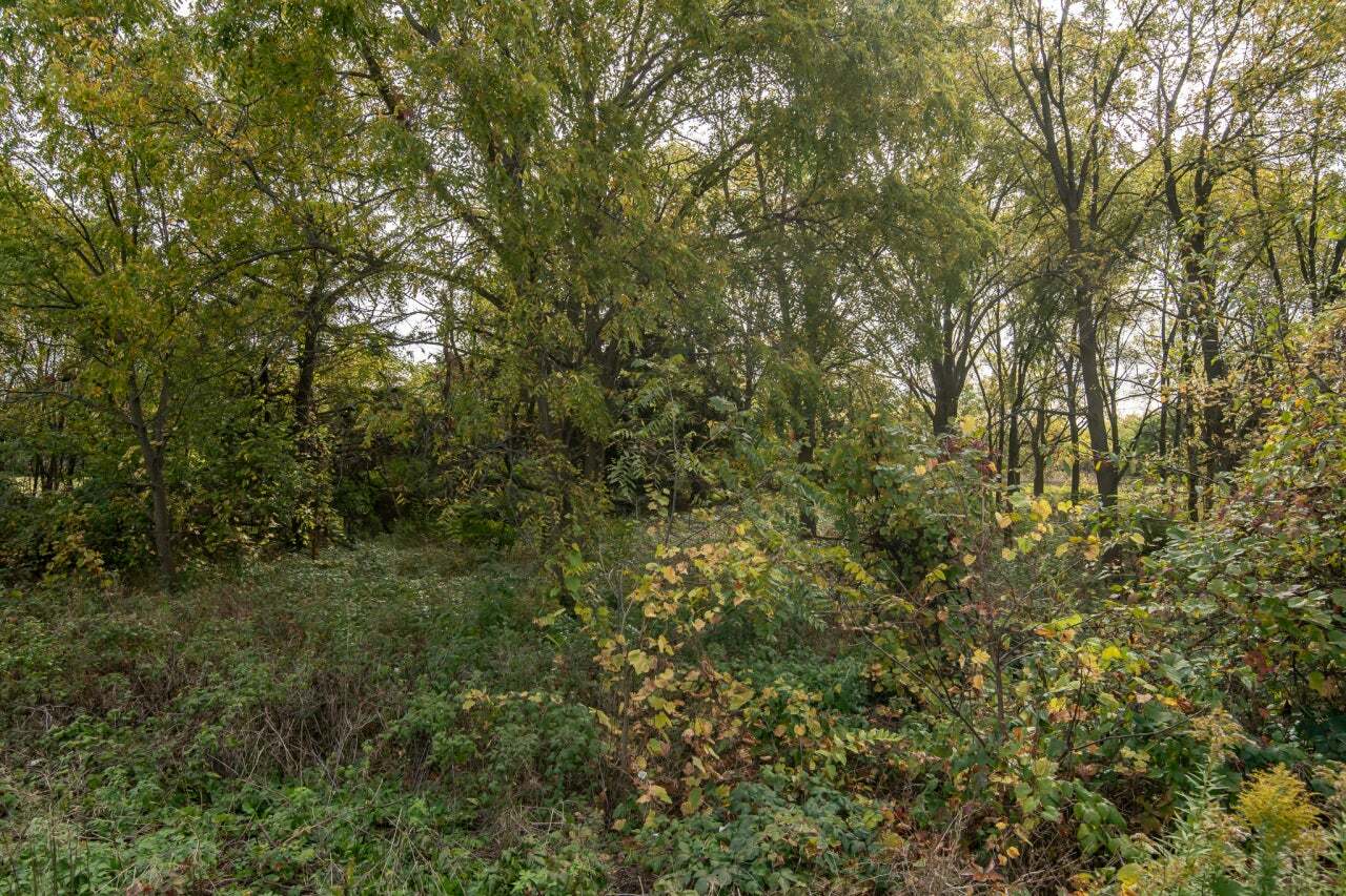 Lt1 Saylesville Road Waukesha, WI 53189 - Photo 5 of 7 Photo 7