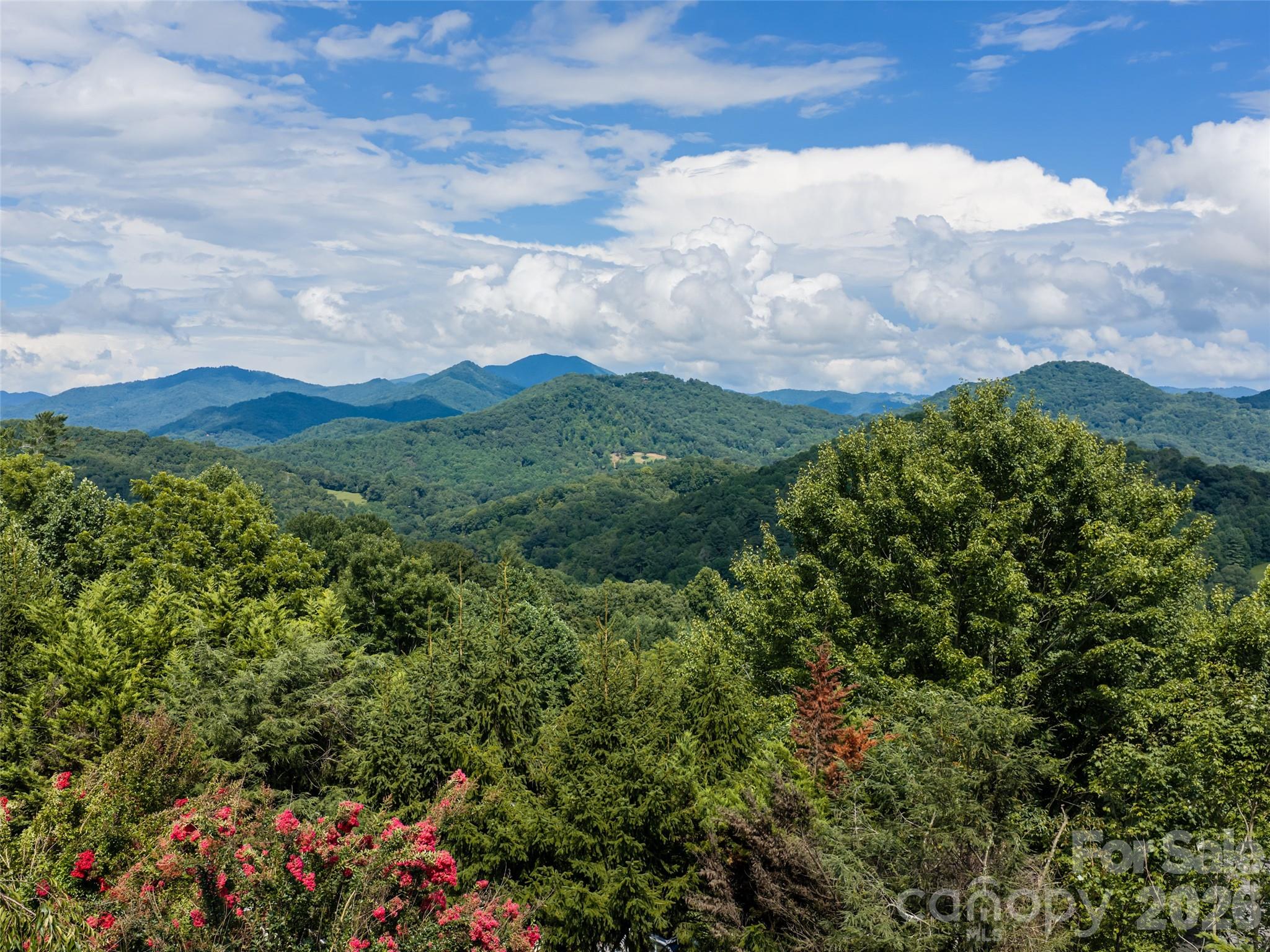 95 Splendor Ridge Waynesville, NC 28785 - Photo 44 of 48 Gallery Image 44