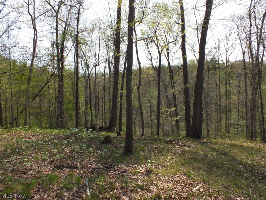 Brocade Road Amsterdam, OH 43903 - Photo 23 of 26 Gallery Image 23