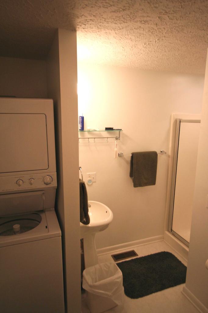 816 High Point Road Moneta, VA 24121 - Photo 5 of 11 Master Bath/Laundry Room