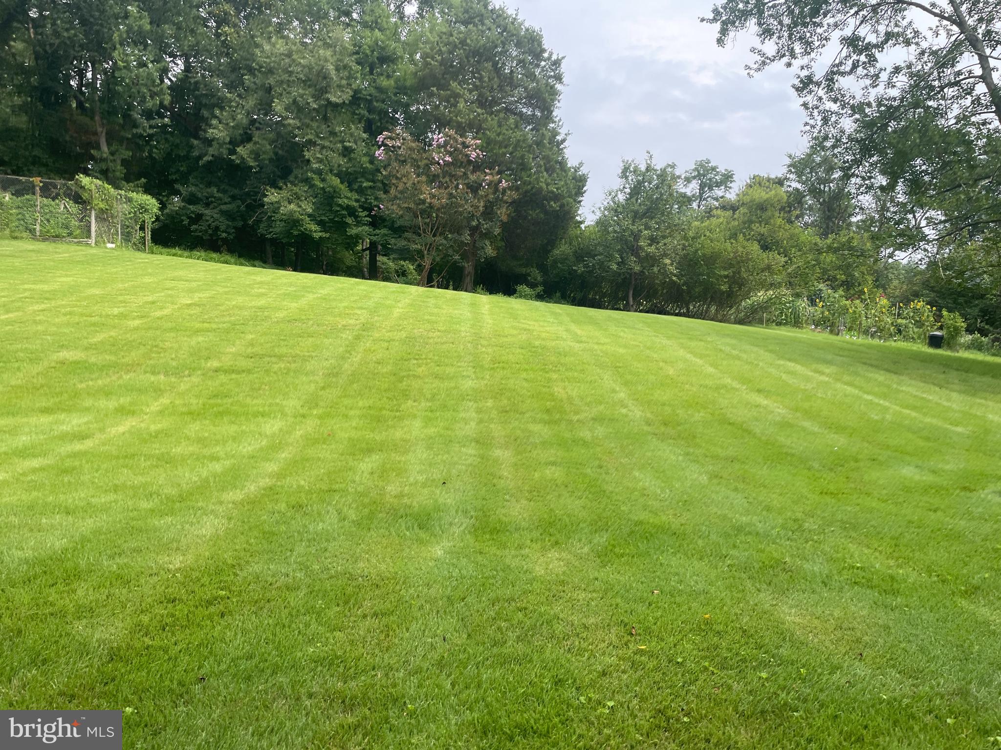 13409 Doncaster Lane Silver Spring, MD 20904 - Photo 34 of 37 a backyard of a house with lots of green space