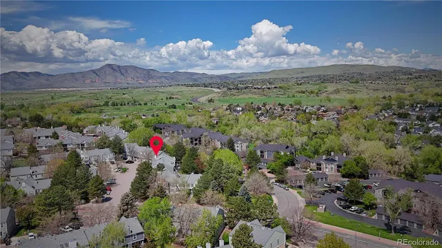 a view of a bunch of trees in the background