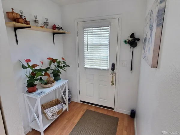 a room with a potted plant on the wall and a window