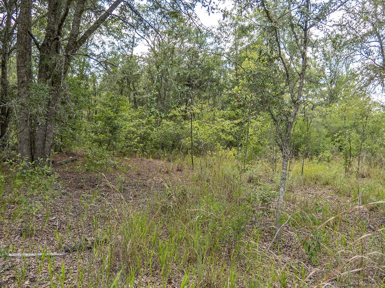Vacant Southwest Hike Lake Road Madison, FL 32340 - Photo 30 of 35